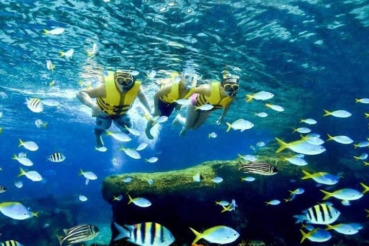 Adventure Cove Water Park Entry ticket sentosa Island singpore