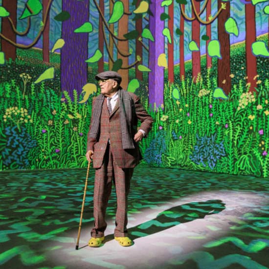 David Hockney: Bigger & Closer (not smaller & further away)