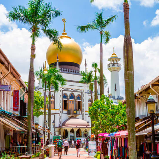 City Highlights: Chinatown, Little India & Kampong Gelam Tour